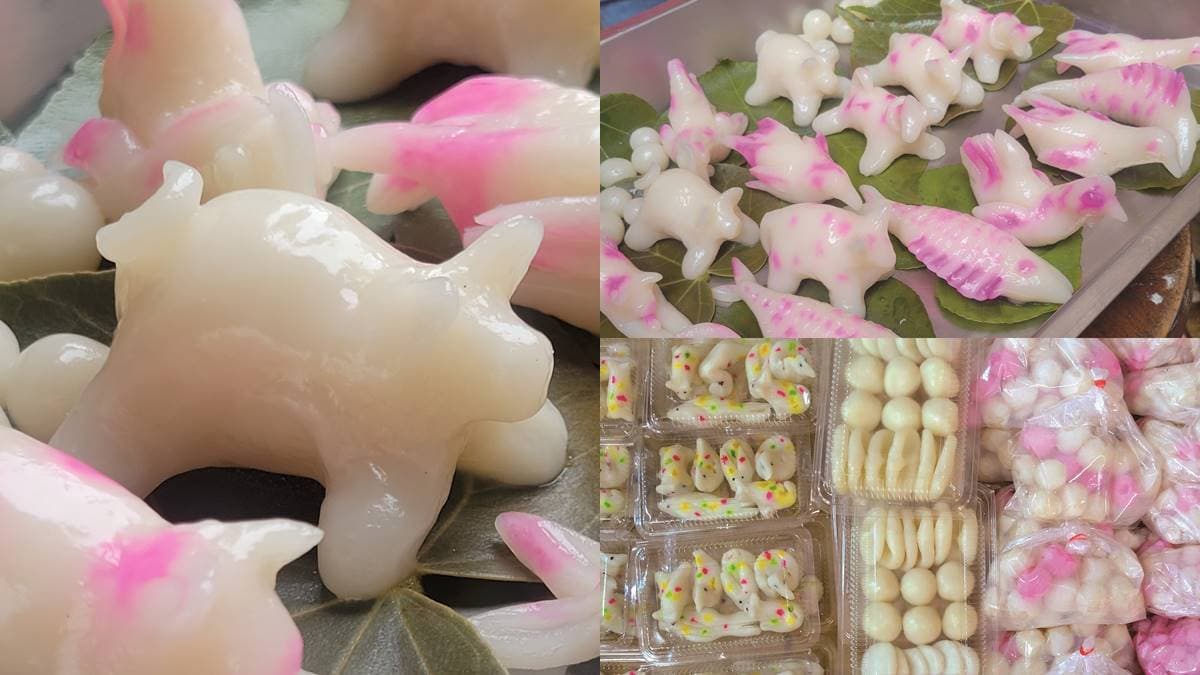 想補財庫必吃!超特別美食「雞母狗」冬至必備,全台只有「這地區」吃得到