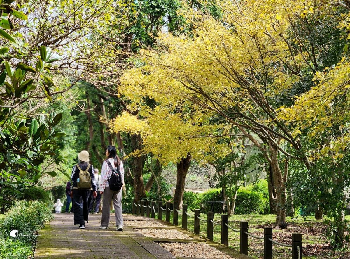 2025台北花季地圖!8條捷運賞花路線一次看,台北一日遊這樣玩 2025台北花季地圖!8條捷運賞花路線一次看,台北一日遊這樣玩