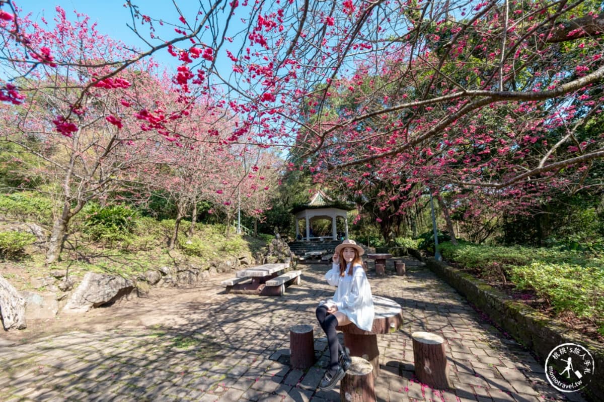 一年四季都有花!「2026陽明山花季」開花情報、賞花地圖,陽明山一日遊推薦 2025台北花季地圖!8條捷運賞花路線一次看,台北一日遊這樣玩
