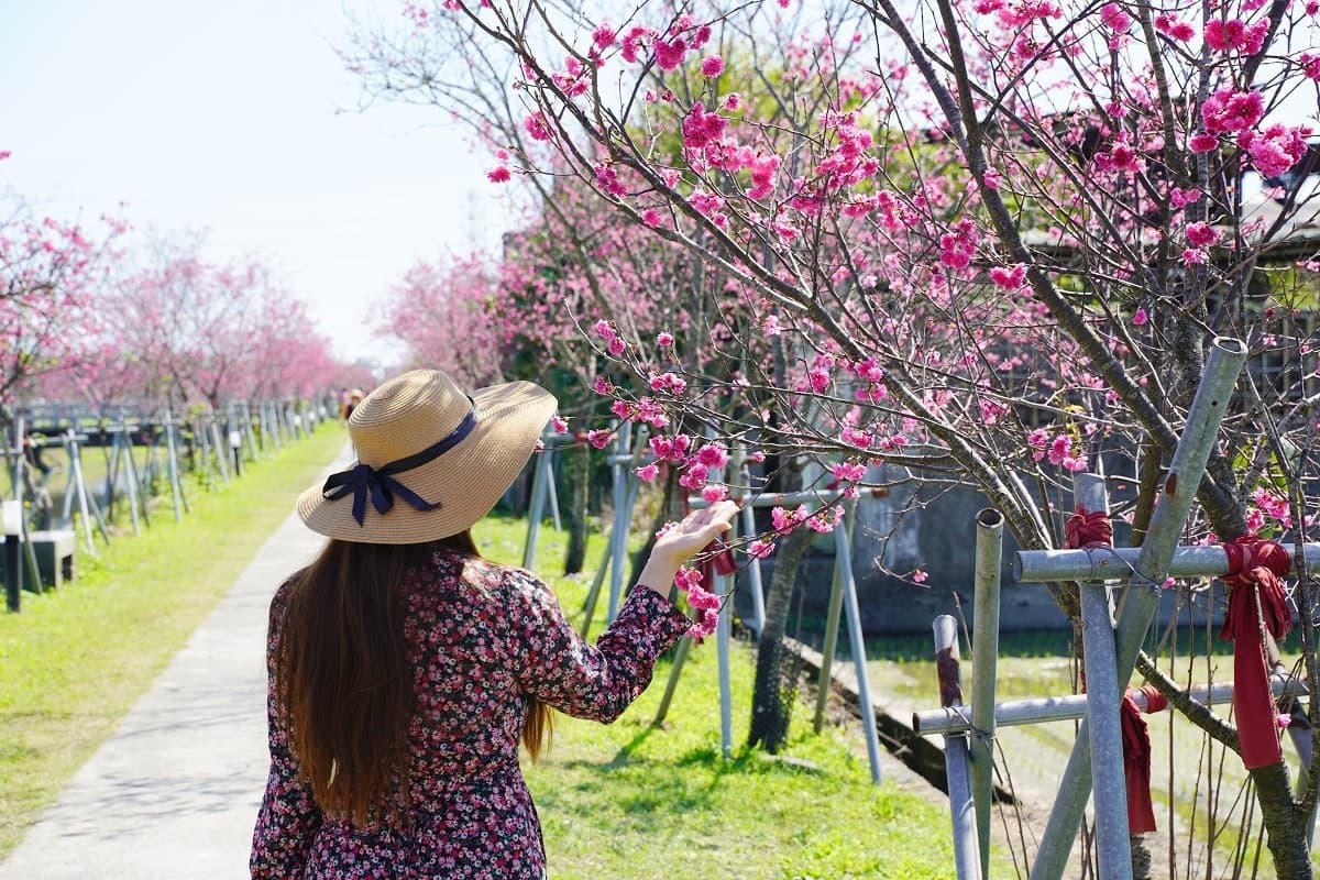 羅東景點推薦Top15:親子免費景點、落羽松秘境、穿越時空復古餐廳 羅東景點推薦Top15:親子免費景點、落羽松秘境、穿越時空復古餐廳