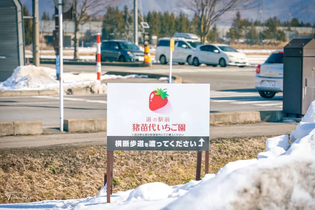 4品種草莓吃到飽!45分鐘「草莓放題」還能免費加煉乳,一年四季都能採 4品種草莓吃到飽!45分鐘「草莓放題」還能免費加煉乳,一年四季都能採