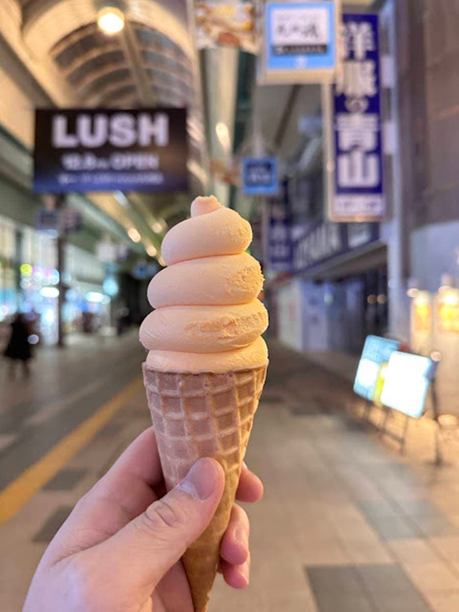 連霸日本「顧客最滿意」超商!商品原料堅持在地自產,必吃炸豬排蓋飯、布丁 連霸日本「顧客最滿意」超商!商品原料堅持在地自產,必吃炸豬排蓋飯、布丁