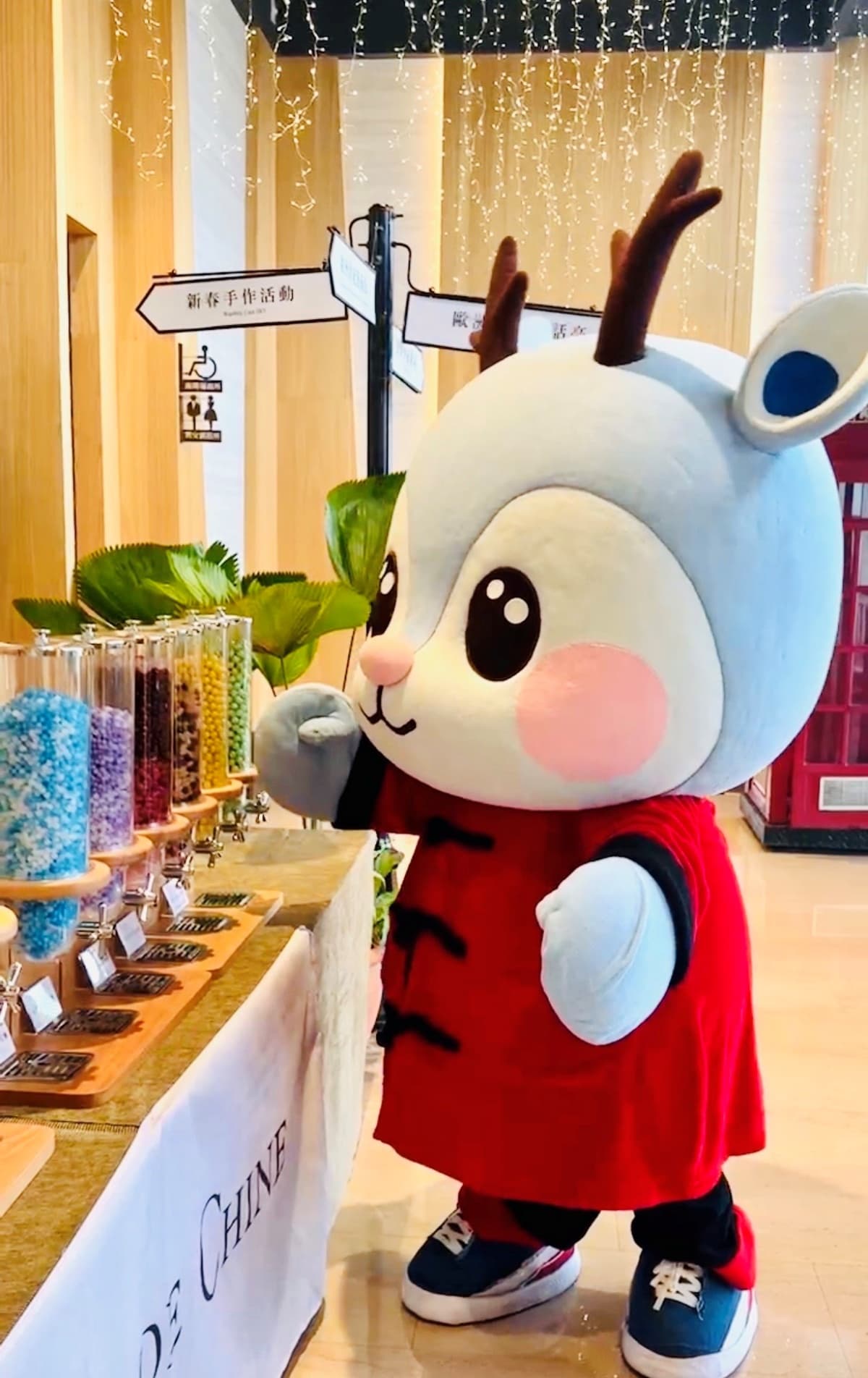 入住爽吃窯烤披薩、送動物園門票!台北3飯店新年優惠活動一次看 入住爽吃窯烤披薩、送動物園門票!台北3飯店新年優惠活動一次看