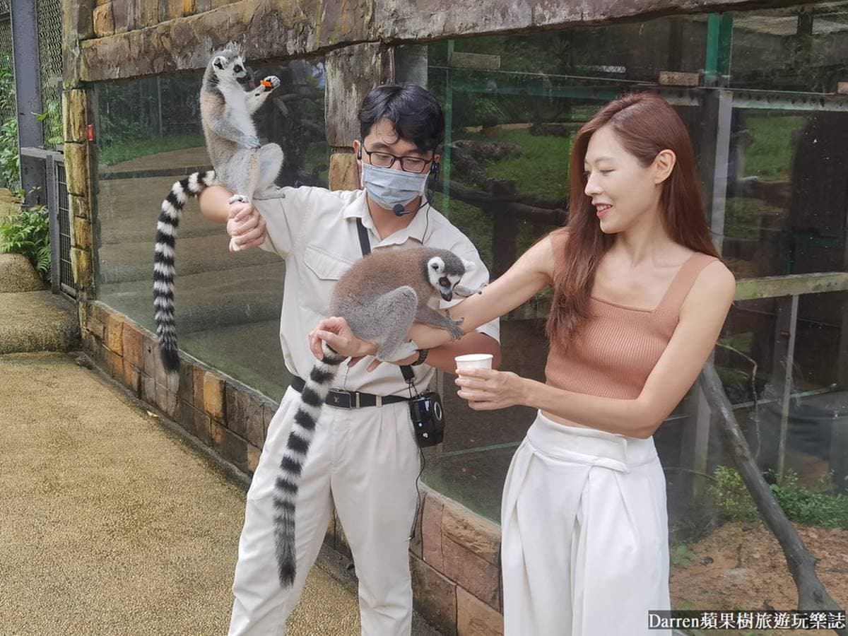 近距離餵長頸鹿、狐猴!親子必逛最強「開放式野生動物園」,還有動物表演秀 近距離餵長頸鹿、狐猴!親子必逛最強「開放式野生動物園」,還有動物表演秀