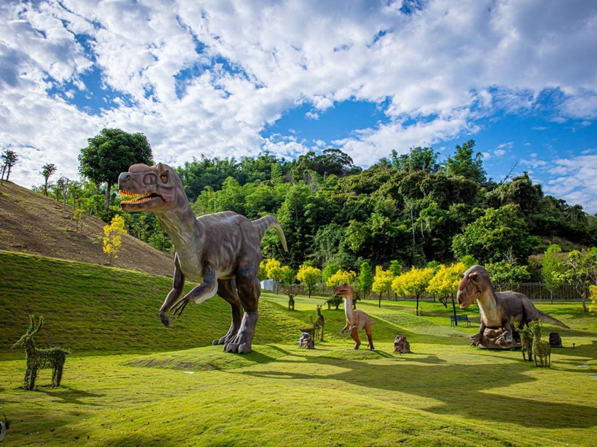 九九峰動物樂園 壽星門票享優惠