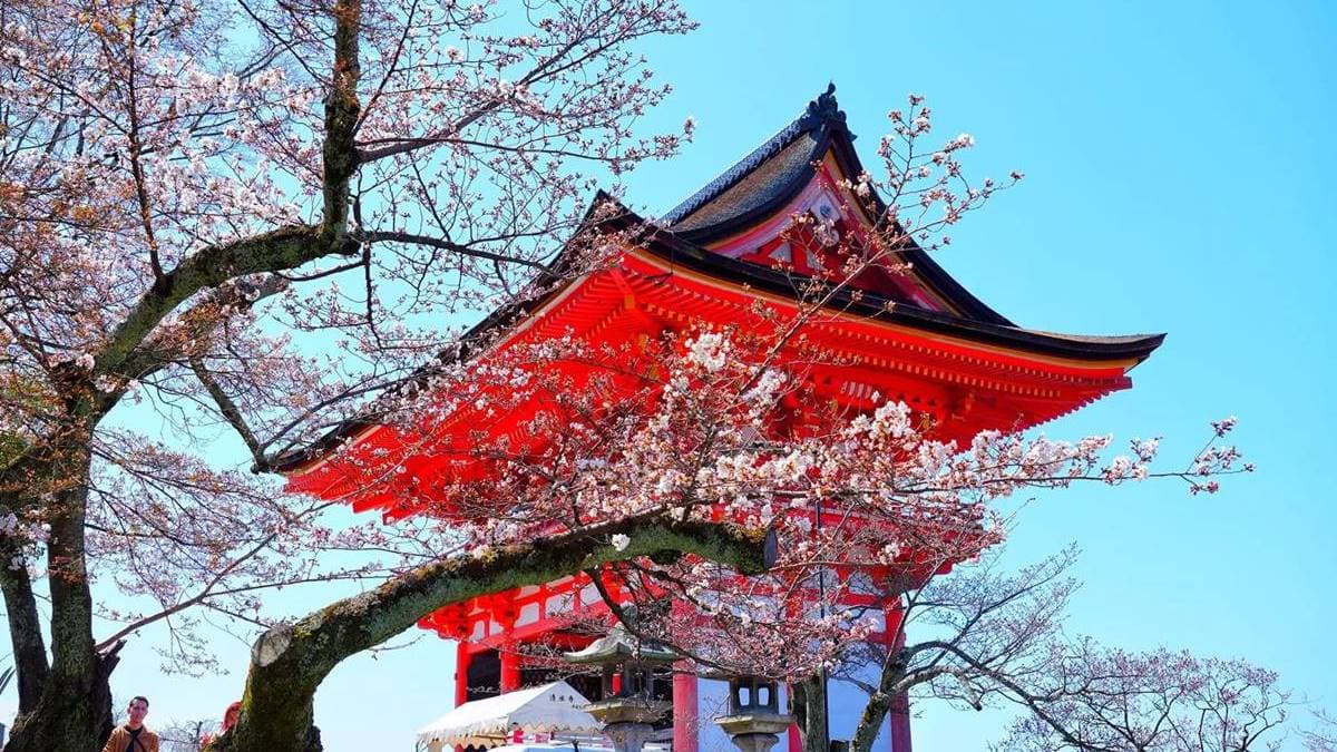 清水寺 img