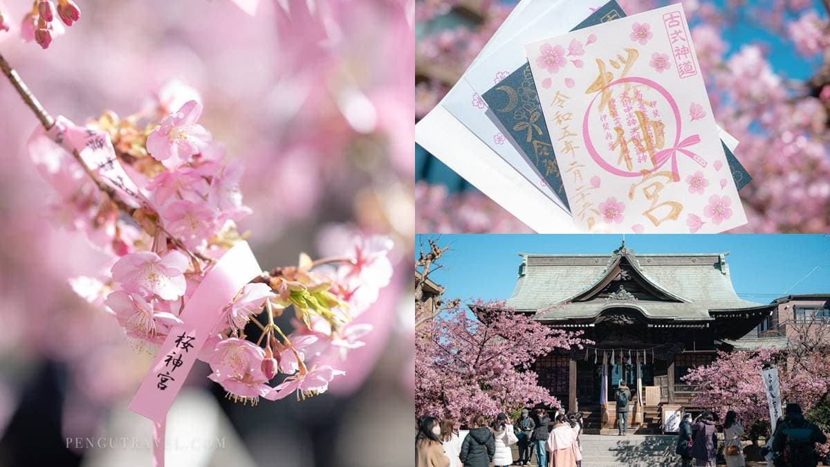 東京賞櫻祕境!「絕美神社」粉色緞帶與櫻花齊飛,蕾絲御守、櫻花朱印必收藏