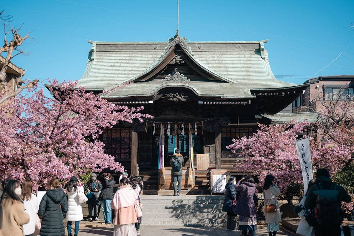 東京賞櫻祕境!「絕美神社」粉色緞帶與櫻花齊飛,蕾絲御守、櫻花朱印必收藏 東京賞櫻祕境!「絕美神社」粉色緞帶與櫻花齊飛,蕾絲御守、櫻花朱印必收藏