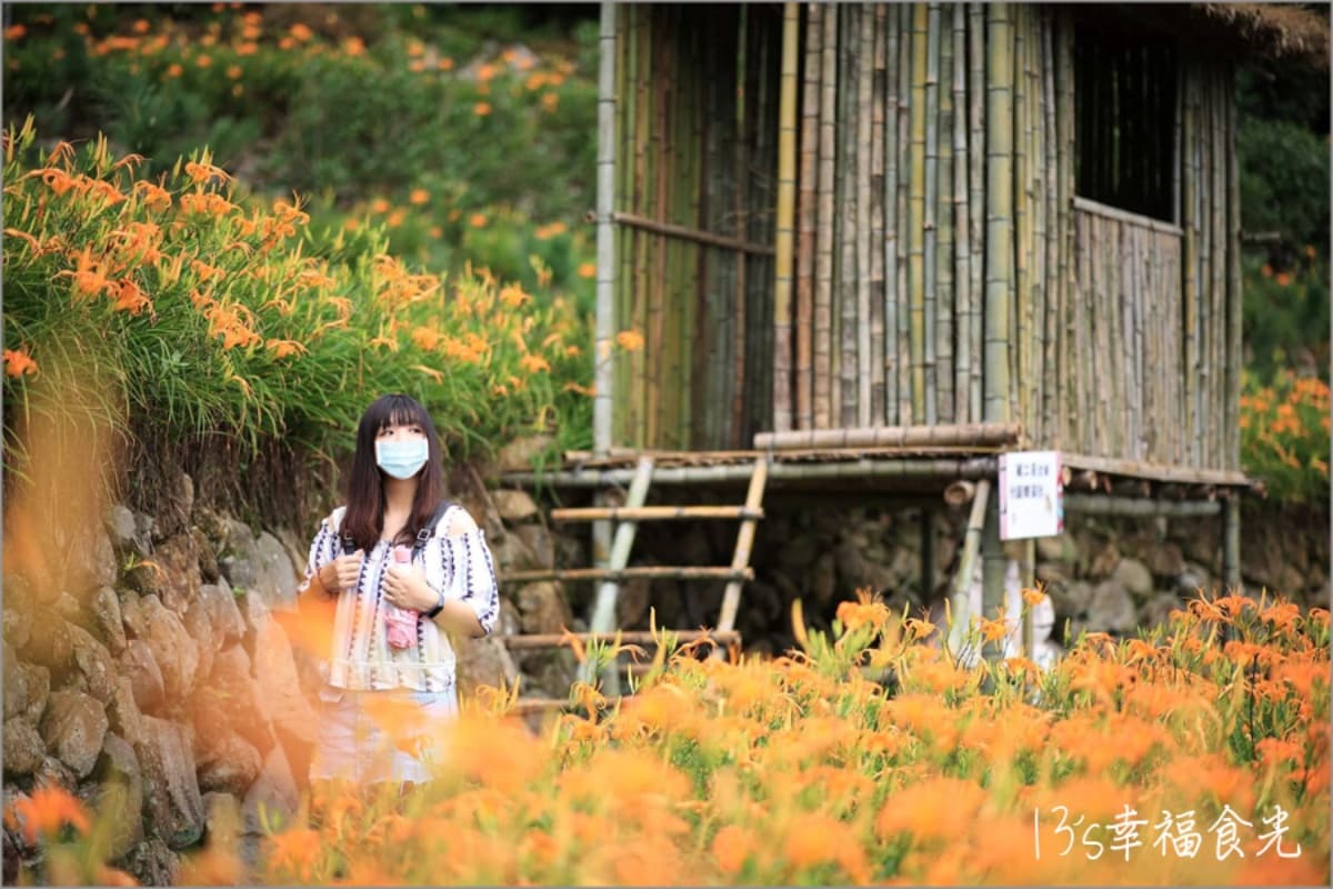 一年四季都有花!「2026陽明山花季」開花情報、賞花地圖,陽明山一日遊推薦 一年四季都有花!「2026陽明山花季」開花情報、賞花地圖,陽明山一日遊推薦