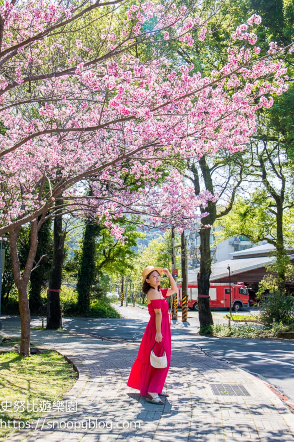 一年四季都有花!「2026陽明山花季」開花情報、賞花地圖,陽明山一日遊推薦 一年四季都有花!「2026陽明山花季」開花情報、賞花地圖,陽明山一日遊推薦
