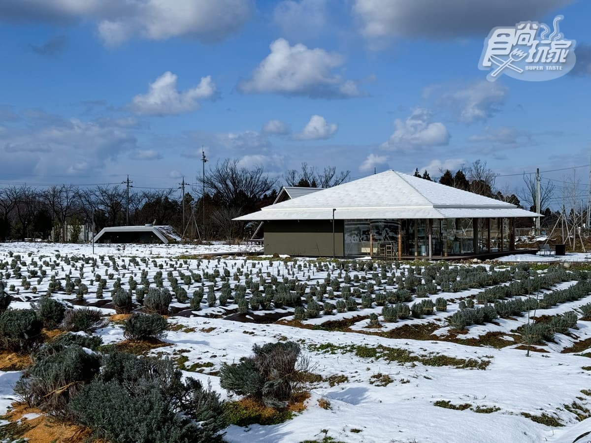 富山縣美食輕旅行2天1夜攻略!海鮮市場爽嗑紅雪蟹、小威尼斯漫步拍美照(中獎公布) 富山縣美食輕旅行2天1夜攻略!海鮮市場爽嗑紅雪蟹、小威尼斯漫步拍美照(中獎公布)