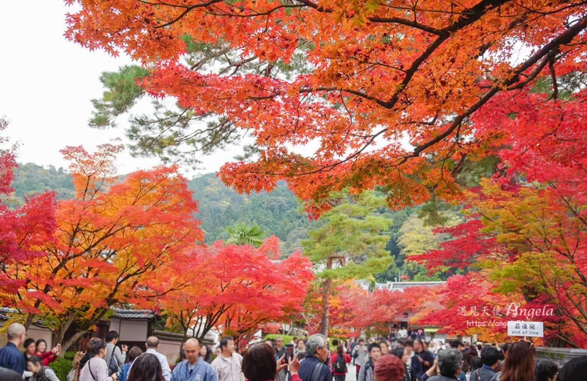 2025京都必去景點!自由行、一日遊Top 21,交通路線、美食住宿攻略 2025京都必去景點!自由行、一日遊Top 21,交通路線、美食住宿攻略