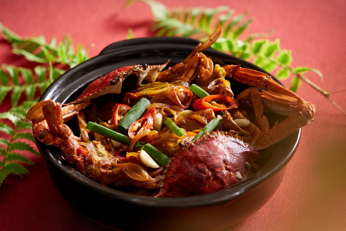 限時3天烤鴨、港點買一送一!全新烤鴨中餐廳這天開幕,加碼中華料理吃到飽 限時3天烤鴨、港點買一送一!全新烤鴨中餐廳這天開幕,加碼中華料理吃到飽