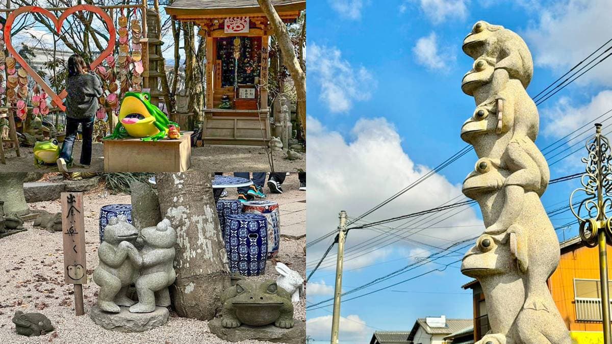 萬隻蛙蛙遍布全寺!福岡超趣味「青蛙寺」,必拍日版「九蛙疊像」還能求好運