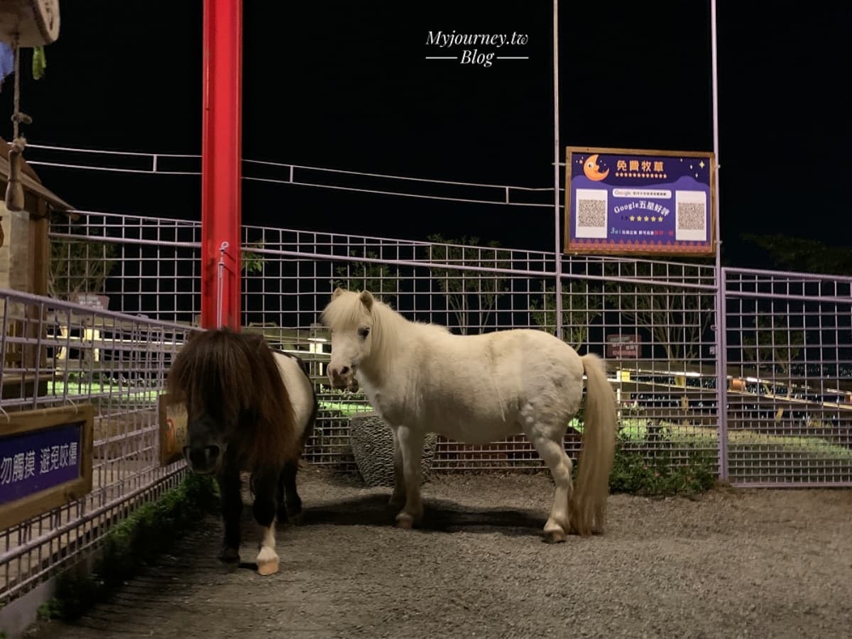 白天看動物、晚上看無敵夜景!網友激推中部親子景點,互動超萌水豚、笑笑羊 白天看動物、晚上看無敵夜景!網友激推中部親子景點,互動超萌水豚、笑笑羊