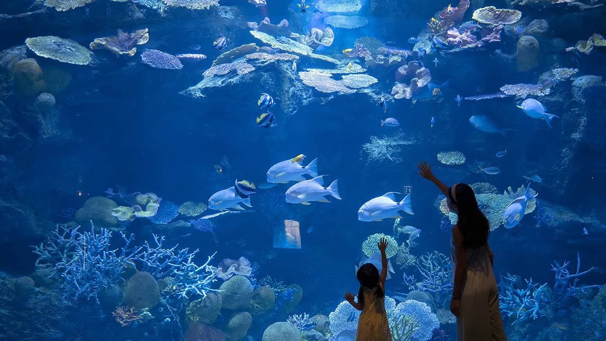SEA LIFE Bangkok Ocean World