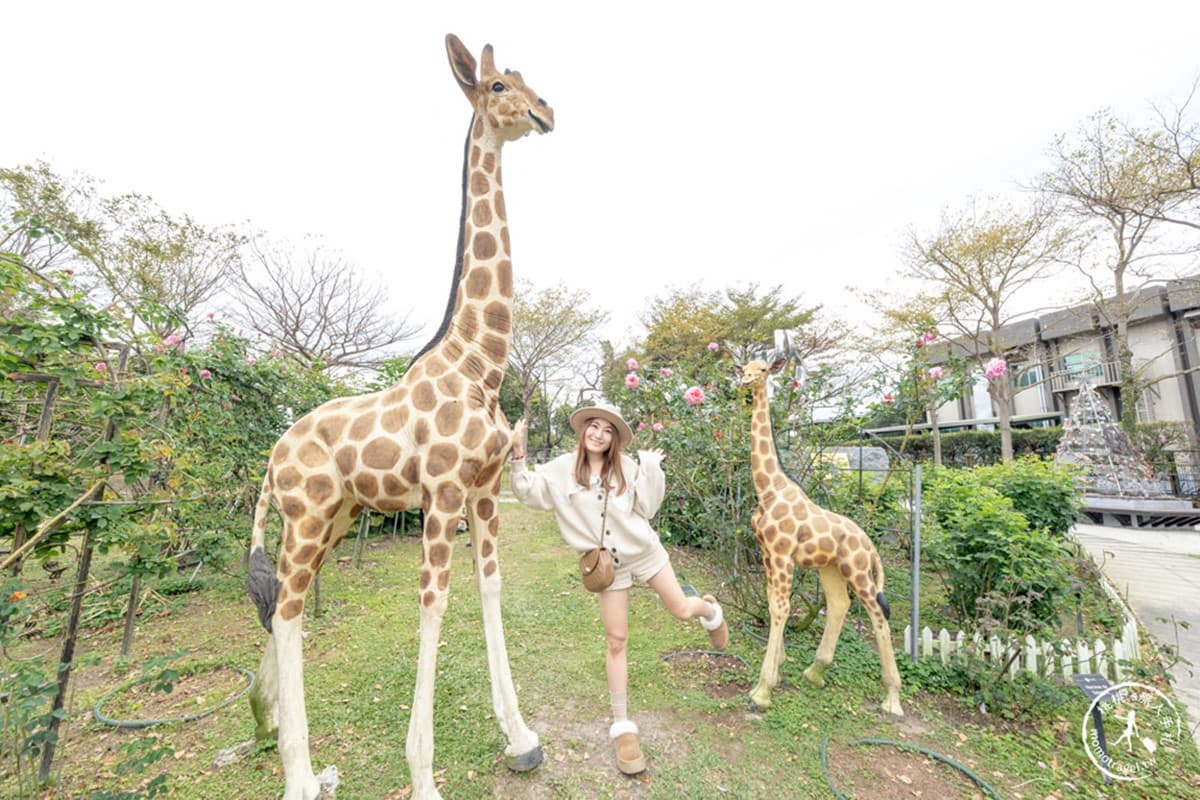 3/14情人節免費入園!全台最大「台北玫瑰展」登場,美拍世界各地800種玫瑰 3/14情人節免費入園!全台最大「台北玫瑰展」登場,美拍世界各地800種玫瑰