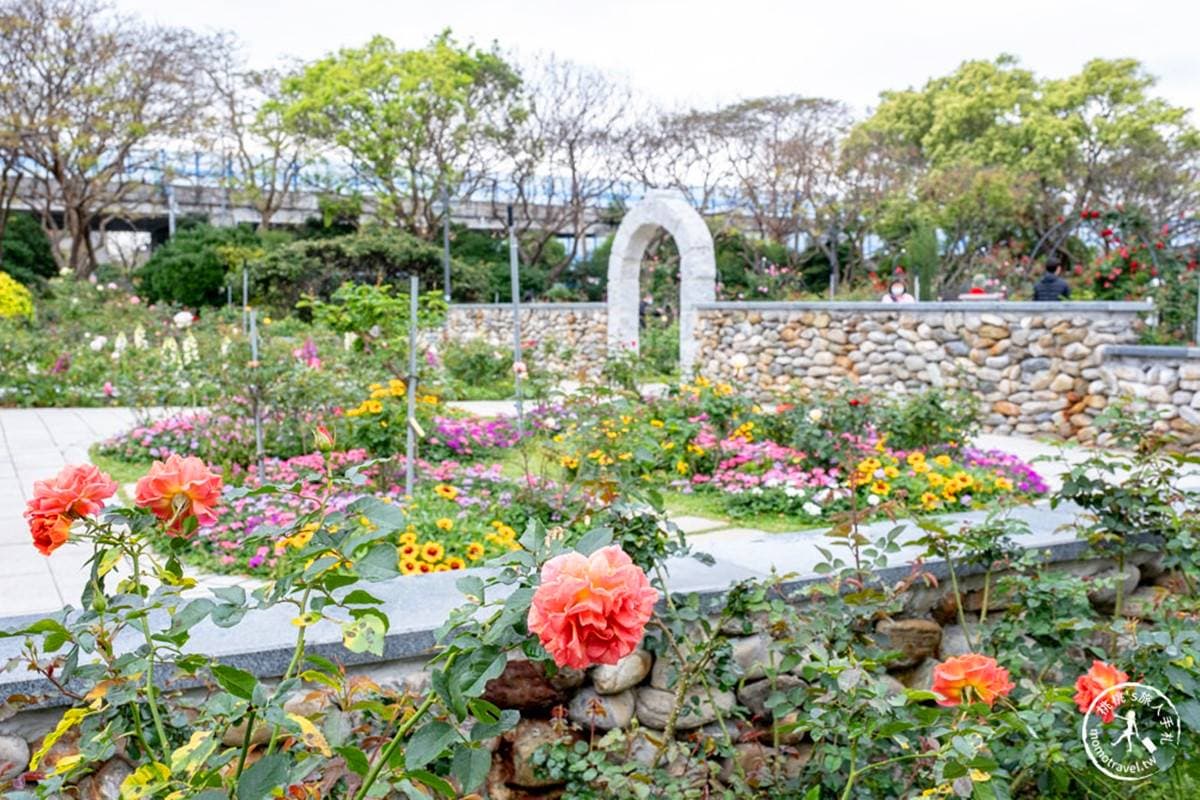 3/14情人節免費入園!全台最大「台北玫瑰展」登場,美拍世界各地800種玫瑰 3/14情人節免費入園!全台最大「台北玫瑰展」登場,美拍世界各地800種玫瑰