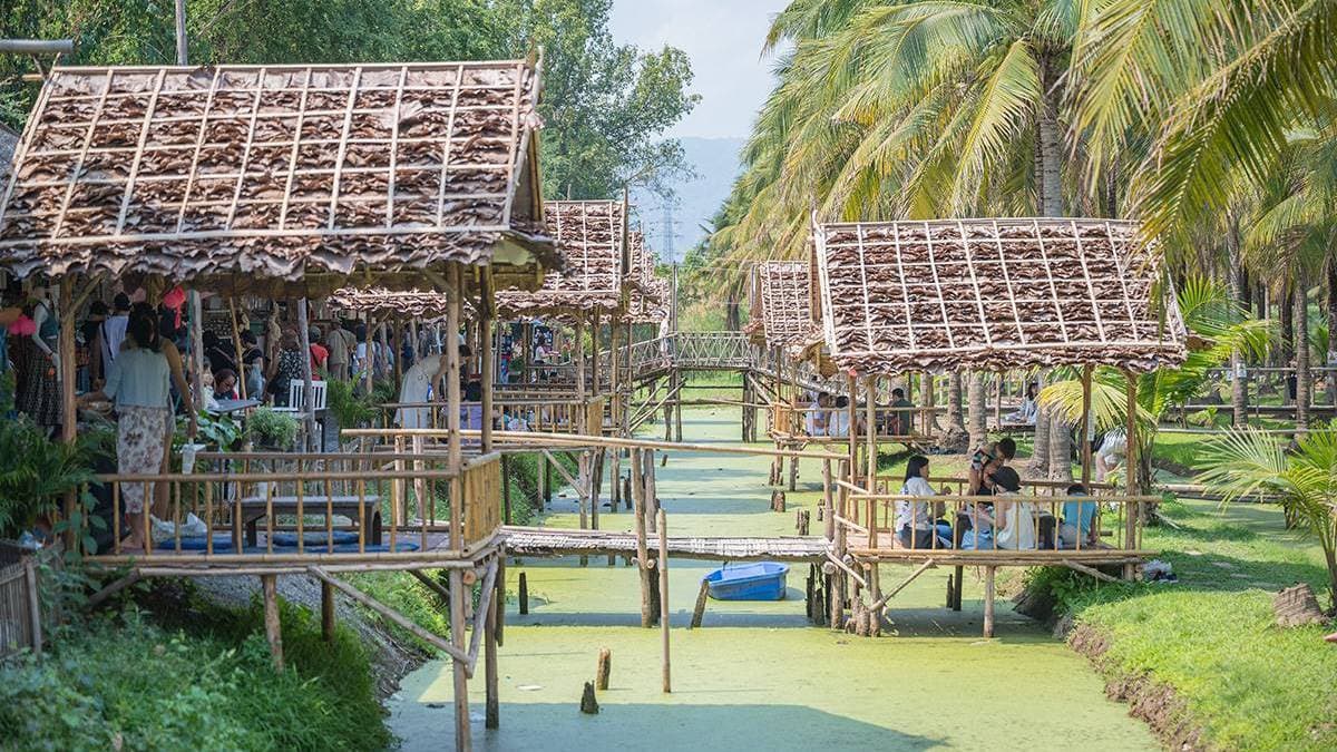 Coconut Market img