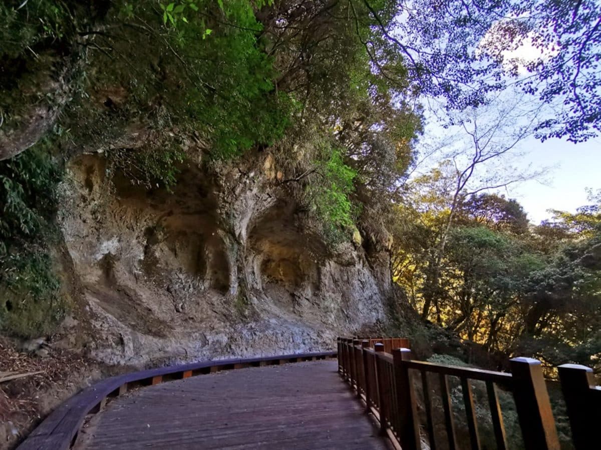 「杉林溪森林生態渡假園區」遊玩攻略:門票、花季情報、周邊景點 「杉林溪森林生態渡假園區」遊玩攻略:門票、花季情報、周邊景點