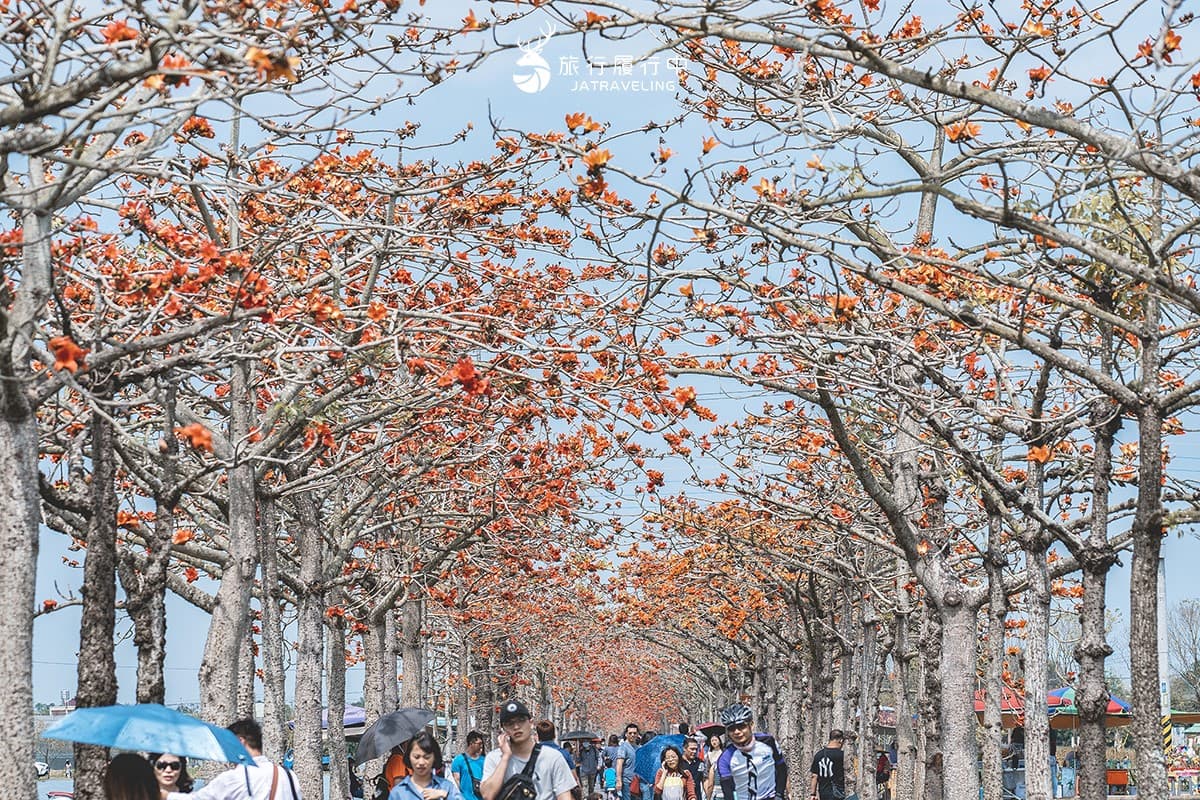 「2025台灣國際蘭展」在台南!打卡絕美花花仙境、逛市集,搭小火車景點順遊 「2025台灣國際蘭展」在台南!打卡絕美花花仙境、逛市集,搭小火車景點順遊