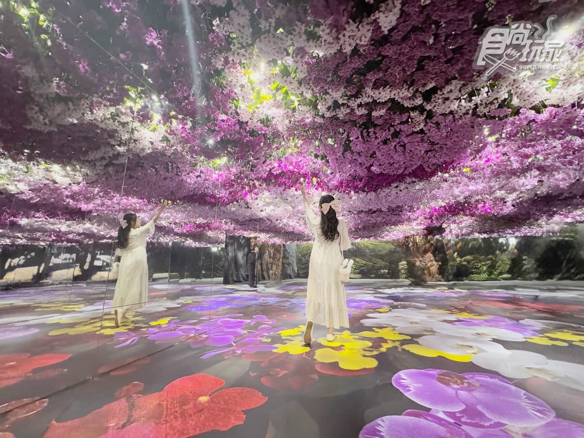 「2025台灣國際蘭展」在台南!打卡絕美花花仙境、逛市集,搭小火車景點順遊 「2025台灣國際蘭展」在台南!打卡絕美花花仙境、逛市集,搭小火車景點順遊