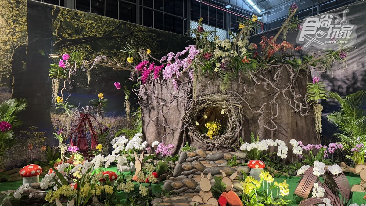 「2025台灣國際蘭展」在台南!打卡絕美花花仙境、逛市集,搭小火車景點順遊 「2025台灣國際蘭展」在台南!打卡絕美花花仙境、逛市集,搭小火車景點順遊