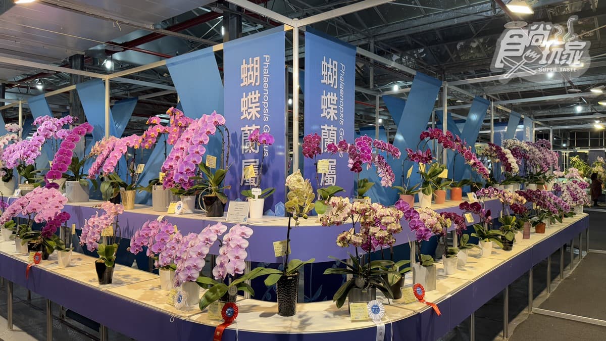 「2025台灣國際蘭展」在台南!打卡絕美花花仙境、逛市集,搭小火車景點順遊 「2025台灣國際蘭展」在台南!打卡絕美花花仙境、逛市集,搭小火車景點順遊