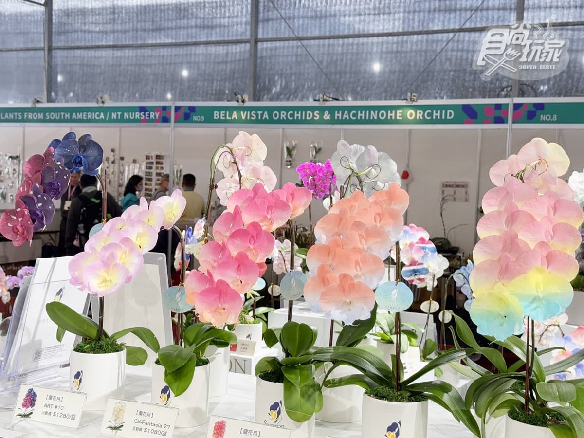 「2025台灣國際蘭展」在台南!打卡絕美花花仙境、逛市集,搭小火車景點順遊 「2025台灣國際蘭展」在台南!打卡絕美花花仙境、逛市集,搭小火車景點順遊