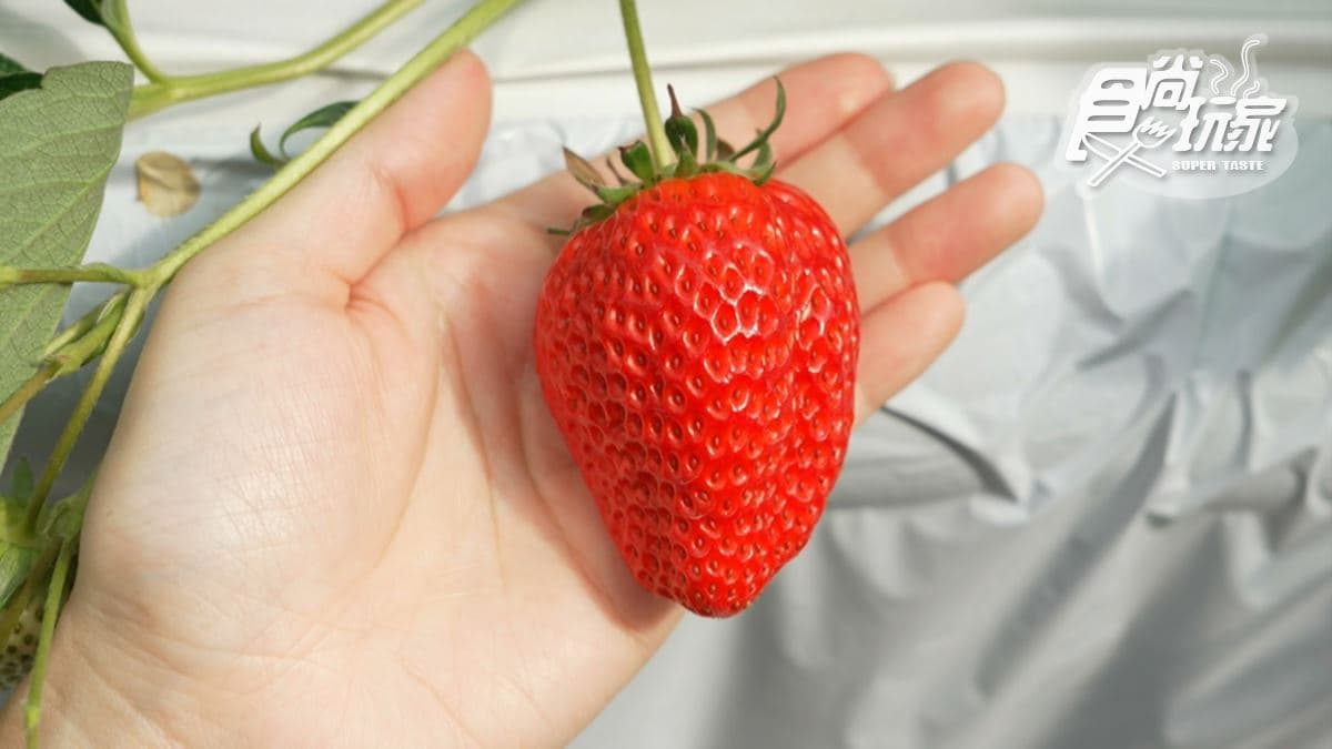 ストロベリーパラダイス img
