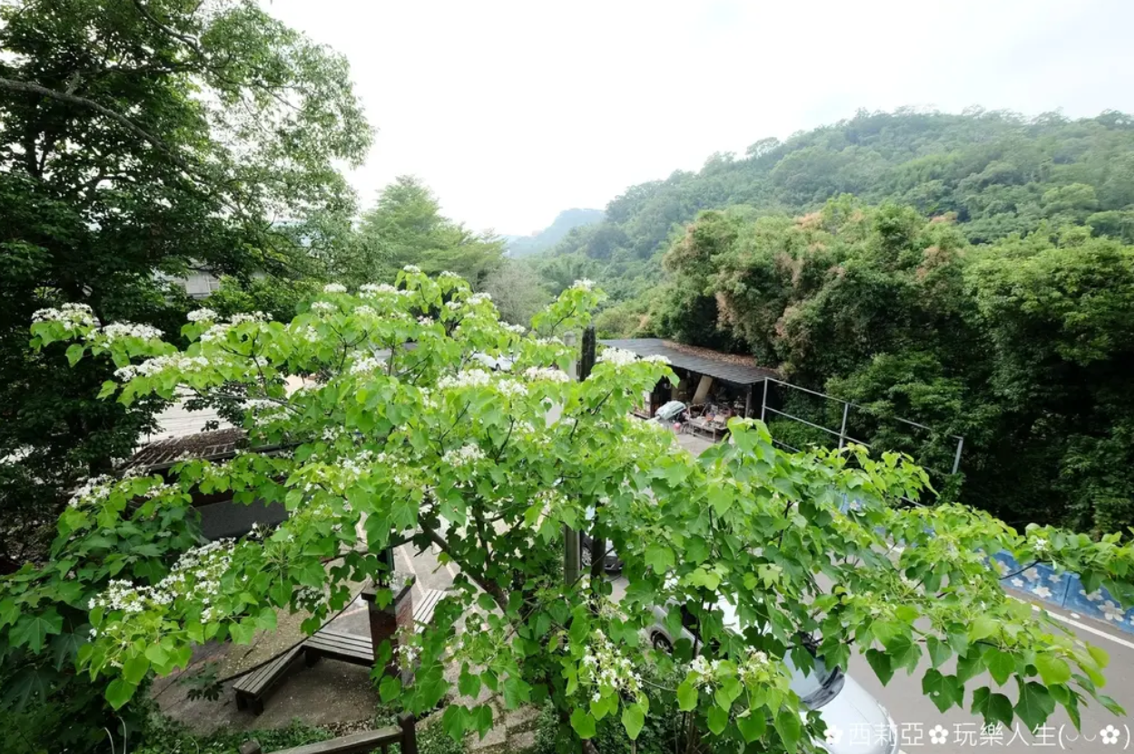 苗栗賞桐步道TOP9!最美天空步道、花毯五月雪,一日遊景點美食攻略 苗栗賞桐步道TOP9!最美天空步道、花毯五月雪,一日遊景點美食攻略