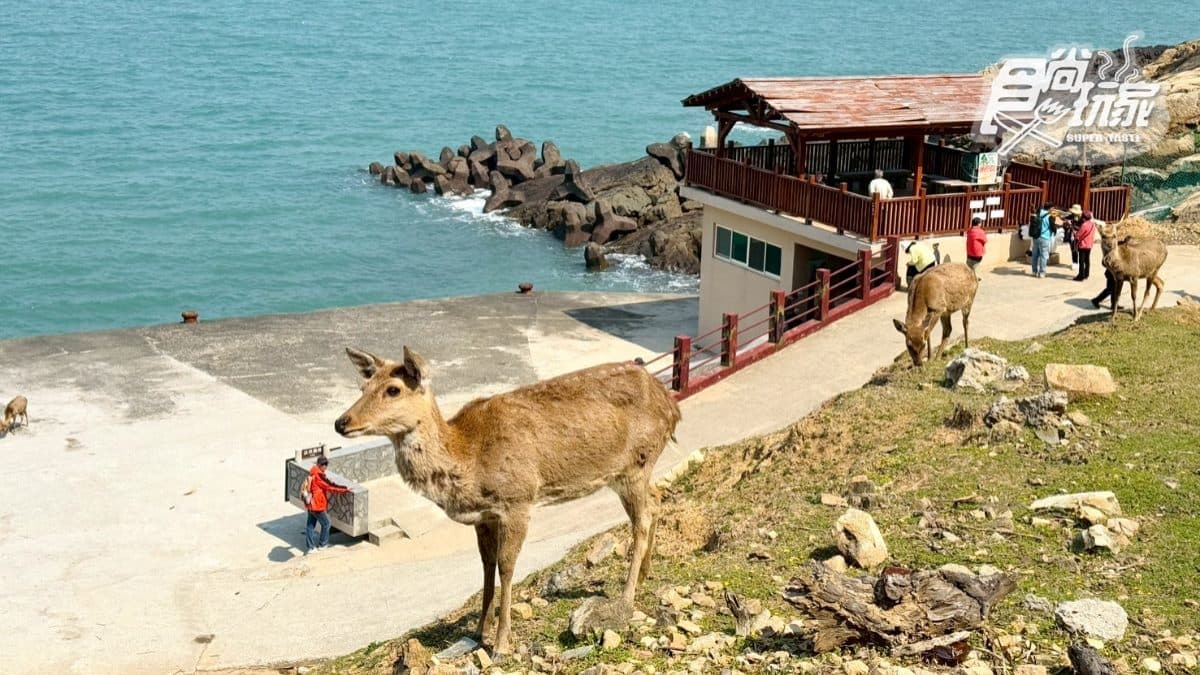 大坵島 img