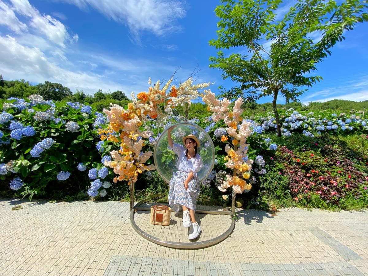 全台最大「繡球花祕境」在新北!這天起開放入園,萬坪花海美照無限拍 全台最大「繡球花祕境」在新北!這天起開放入園,萬坪花海美照無限拍