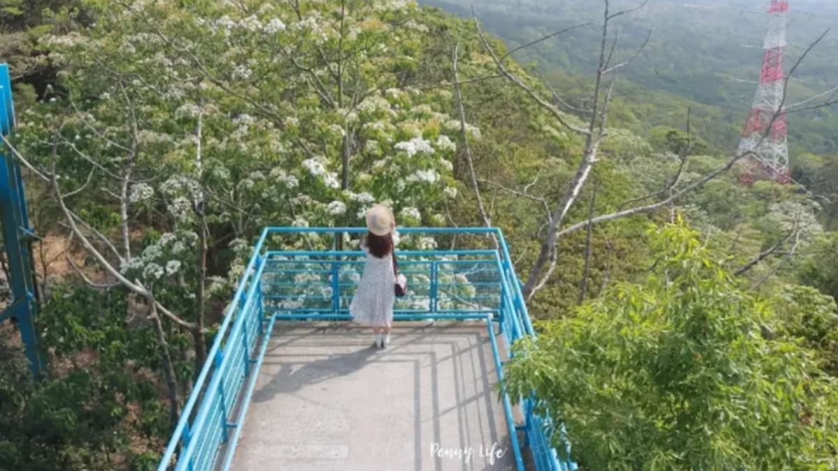 九華山 天空步道 img