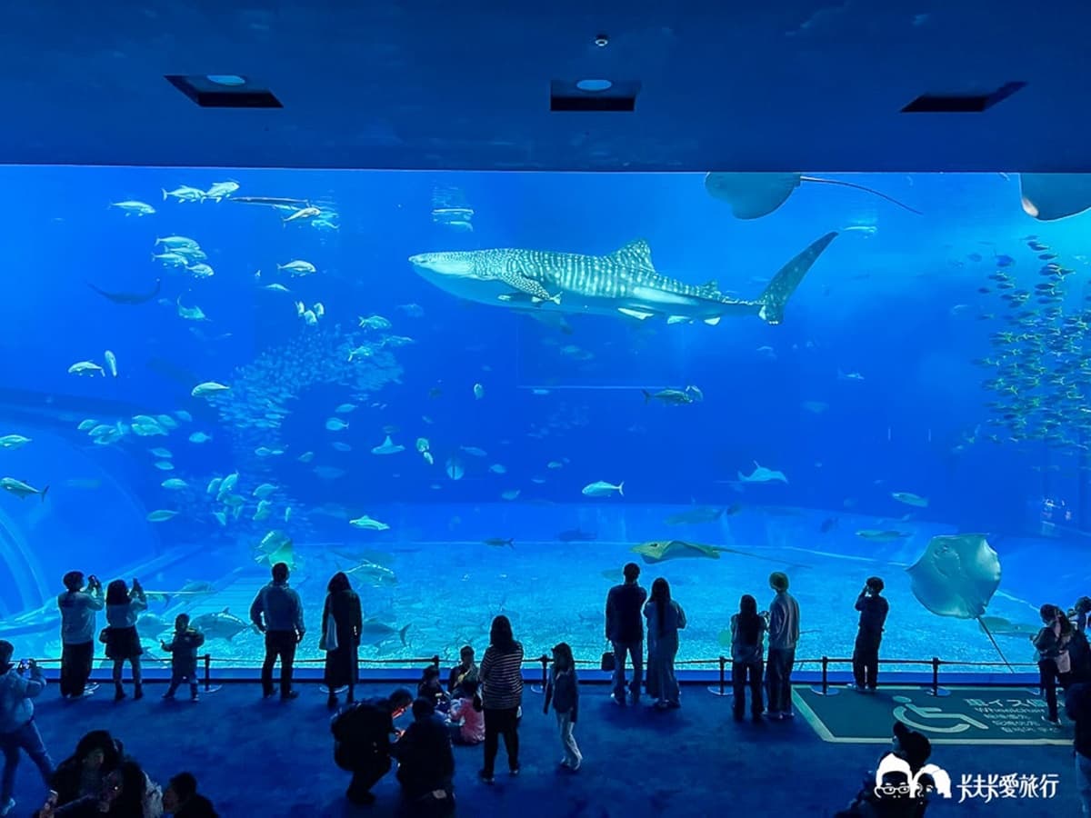 2025沖繩旅遊攻略!10大美食+景點推薦:7公分厚玉子燒、苦瓜漢堡、超Q獅薩 2025沖繩旅遊攻略!10大美食+景點推薦:7公分厚玉子燒、苦瓜漢堡、超Q獅薩