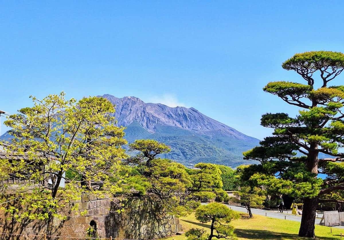 2025鹿兒島攻略!必吃必玩10選:80年名物最萌白熊冰、百年建築最美星巴克 2025鹿兒島攻略!必吃必玩10選:80年名物最萌白熊冰、百年建築最美星巴克