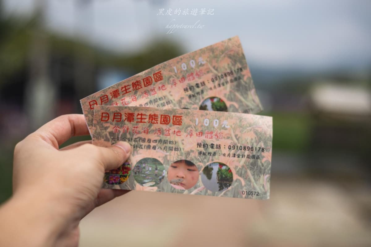 網譽「天使的花毯」!100元拍爆萬坪「七彩金針花海」,還有絕美水上綠色隧道 網譽「天使的花毯」!100元拍爆萬坪「七彩金針花海」,還有絕美水上綠色隧道