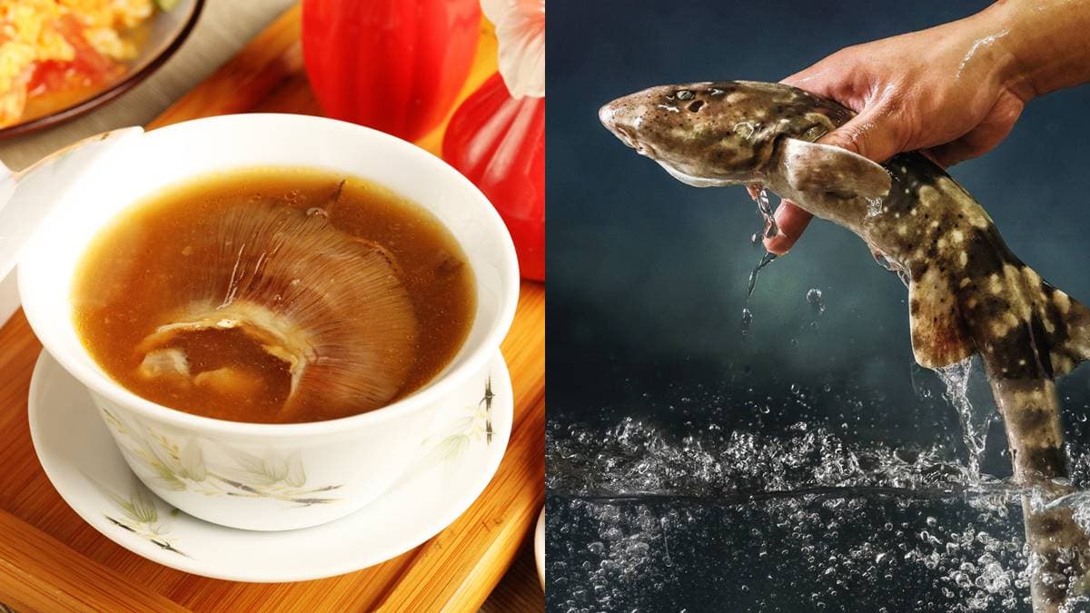 神祕「抗癌魚」曝光!早年便宜今身價如龍蝦,餐廳經典「1魚2吃」上桌