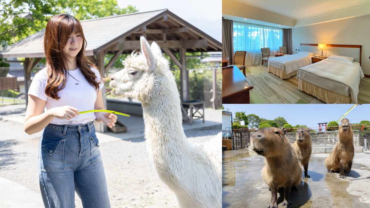 這時出遊超激省!住房「買一送一」、萬元體驗免費送,泡湯+遊園不用400元