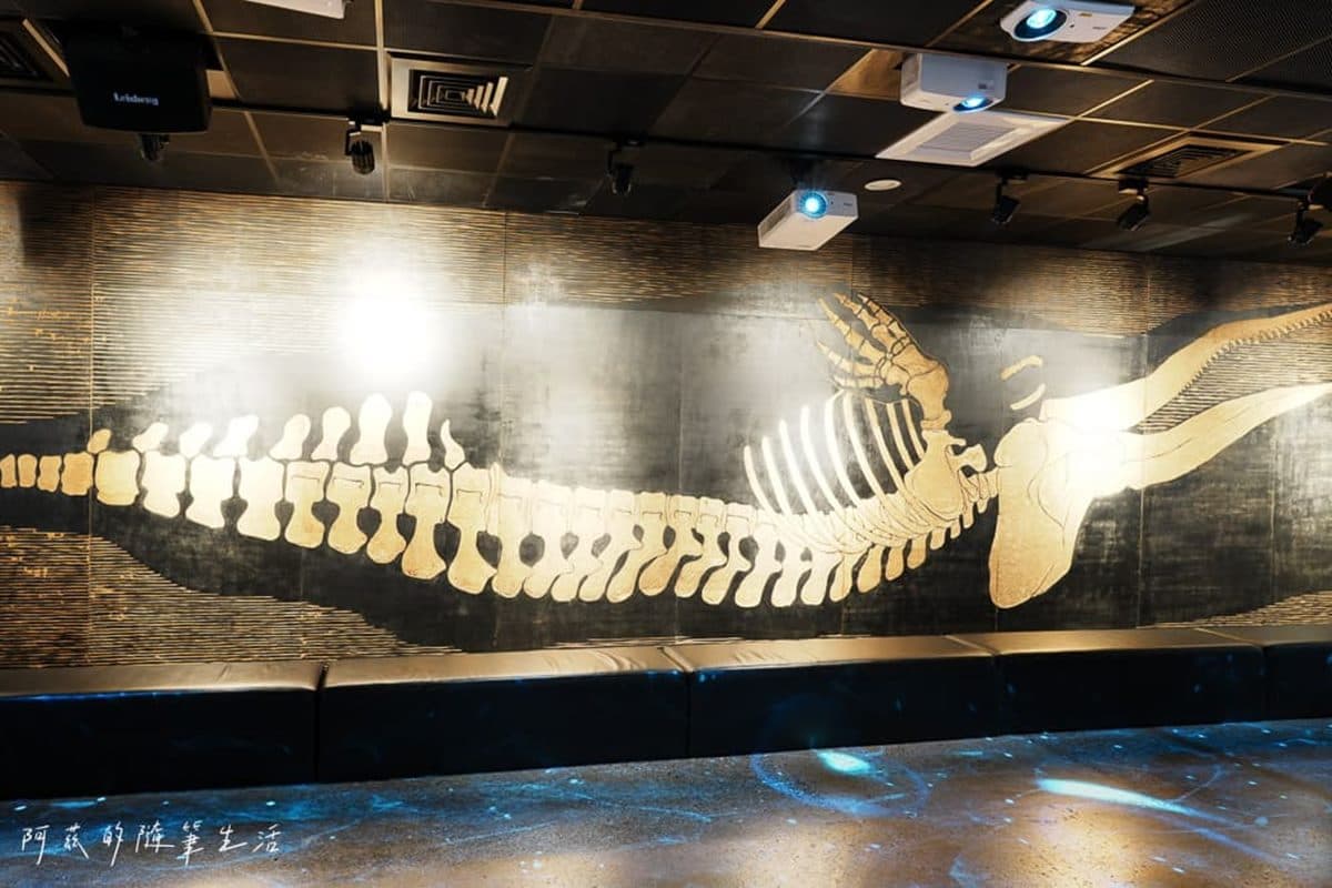 1秒穿越「侏儸紀公園」!台灣唯一「化石主題博物館」,5大展區亮點一次看 1秒穿越「侏儸紀公園」!台灣唯一「化石主題博物館」,5大展區亮點一次看