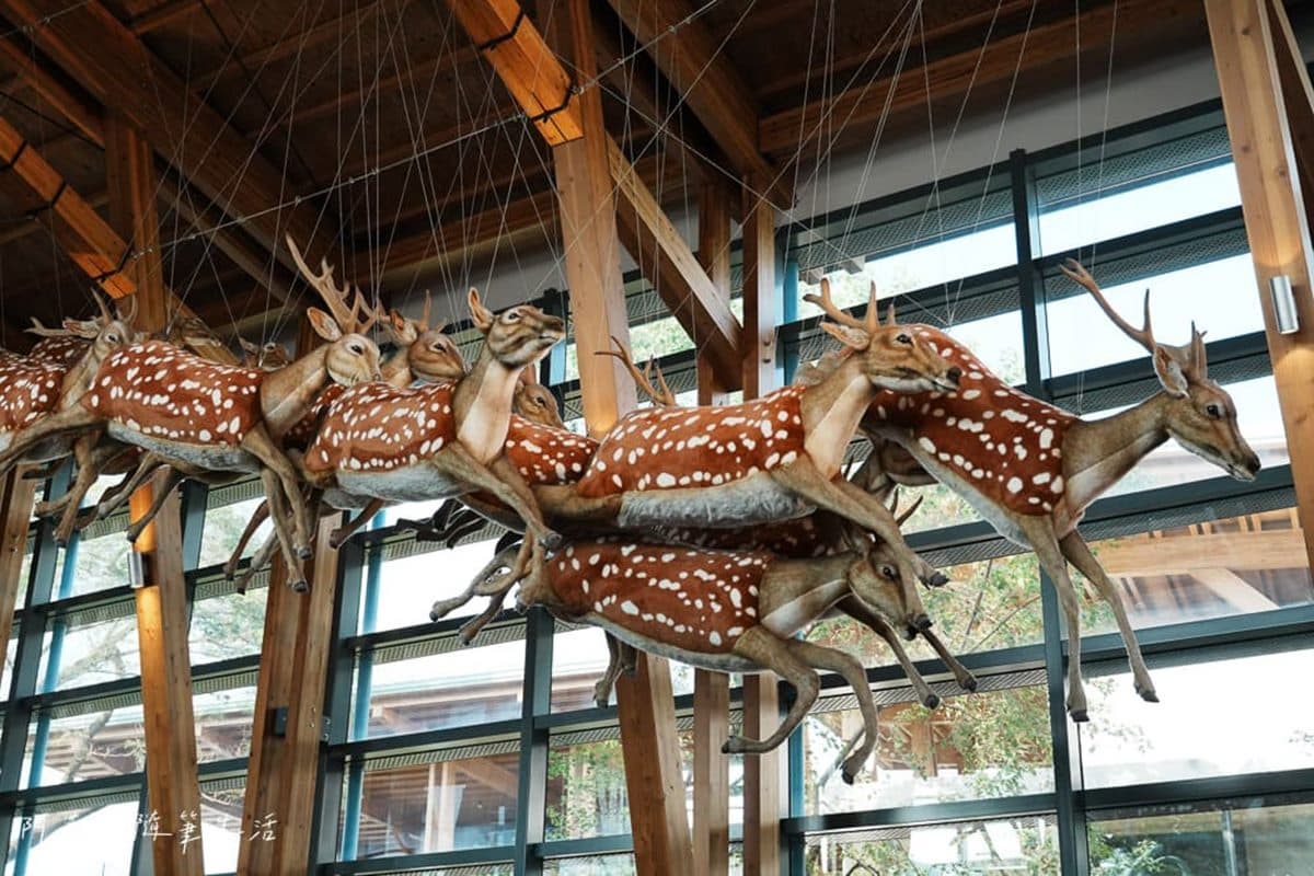 1秒穿越「侏儸紀公園」!台灣唯一「化石主題博物館」,5大展區亮點一次看 1秒穿越「侏儸紀公園」!台灣唯一「化石主題博物館」,5大展區亮點一次看