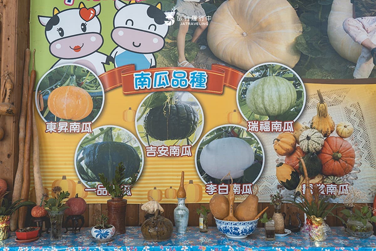 錯過等明年!臉書爆紅免費景點「南瓜隧道」在這,超過100公尺、品種超多 錯過等明年!臉書爆紅免費景點「南瓜隧道」在這,超過100公尺、品種超多