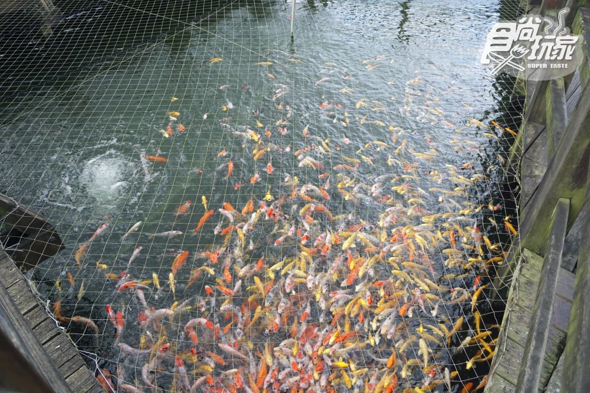 超狂皮蛋冰淇淋這裡吃!花蓮吉安8大亮點:百年日式寺院、楓林步道美拍(中獎公布) 超狂皮蛋冰淇淋這裡吃!花蓮吉安8大亮點:百年日式寺院、楓林步道美拍(中獎公布)