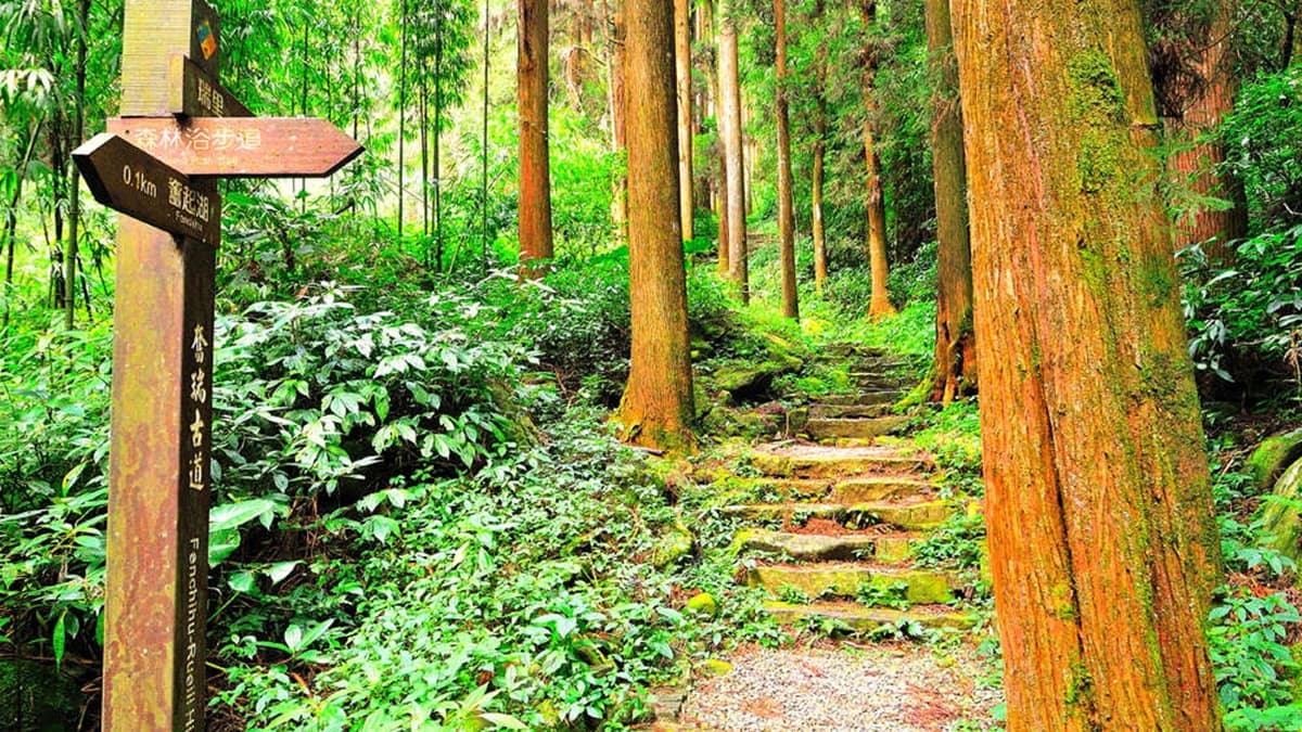 奮瑞古道