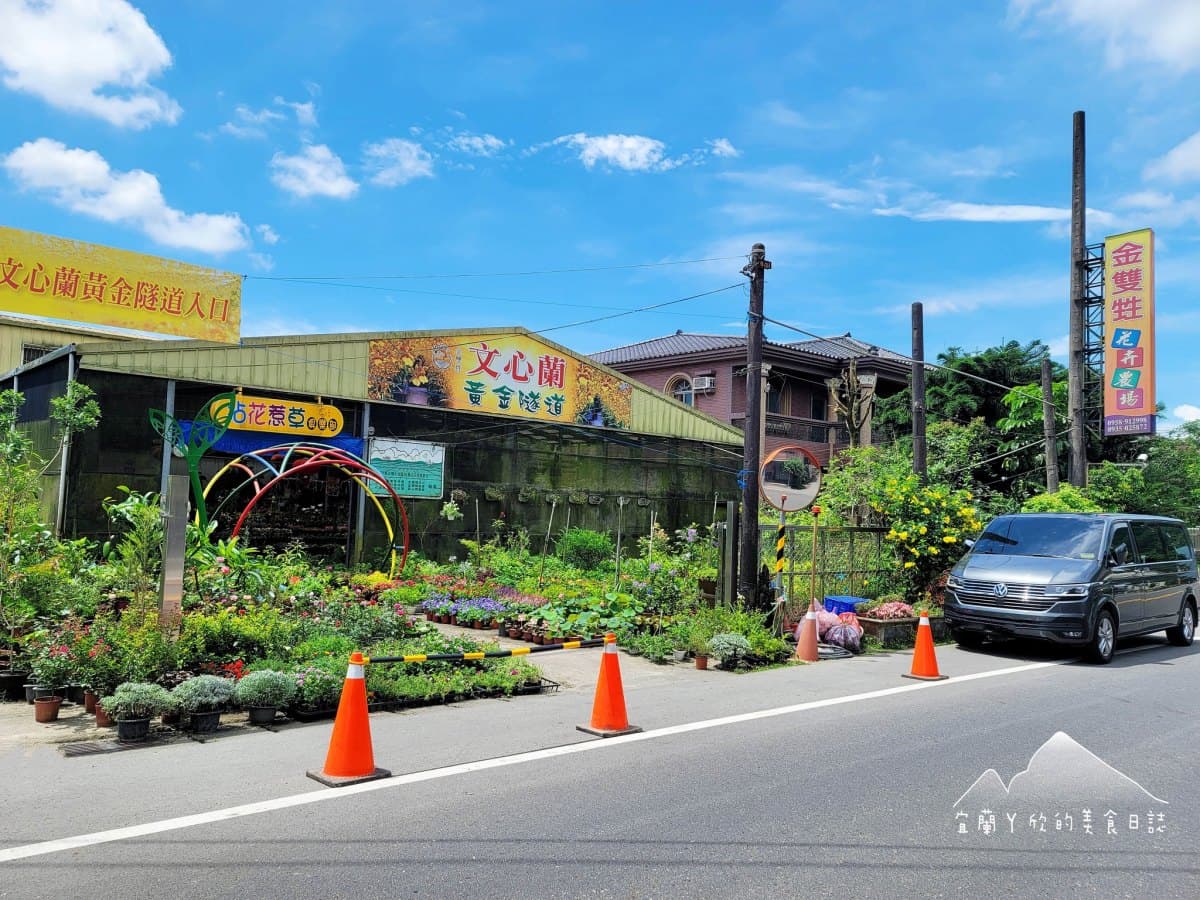 全台唯一「黃金文心蘭隧道」開放了!門票只要50元,週末順遊熱氣球嘉年華 全台唯一「黃金文心蘭隧道」在這!門票50元超好拍,6月限定美景錯過等明年