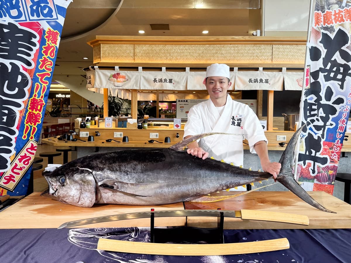 最低398元起!高CP值「平價日料」爽嗑松葉蟹、黑鮪魚丼,味噌湯、抹茶無限續 最低398元起!高CP值「平價日料」爽嗑松葉蟹、黑鮪魚丼,味噌湯、抹茶無限續