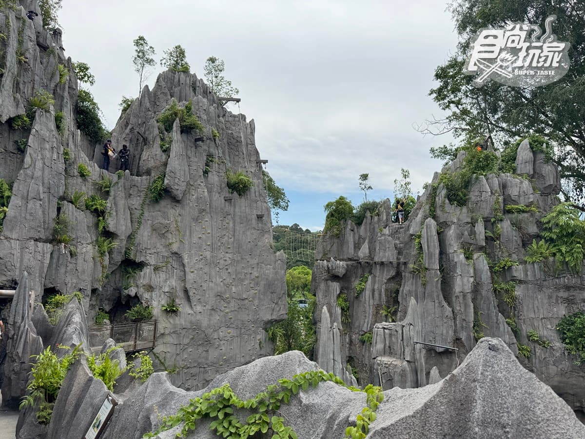 亞洲首座「雨林野生探險園」開幕!5大亮點攻略搶看:36種珍稀動物、洞穴探險 亞洲首座「雨林野生探險園」開幕!5大亮點攻略搶看:36種珍稀動物、洞穴探險