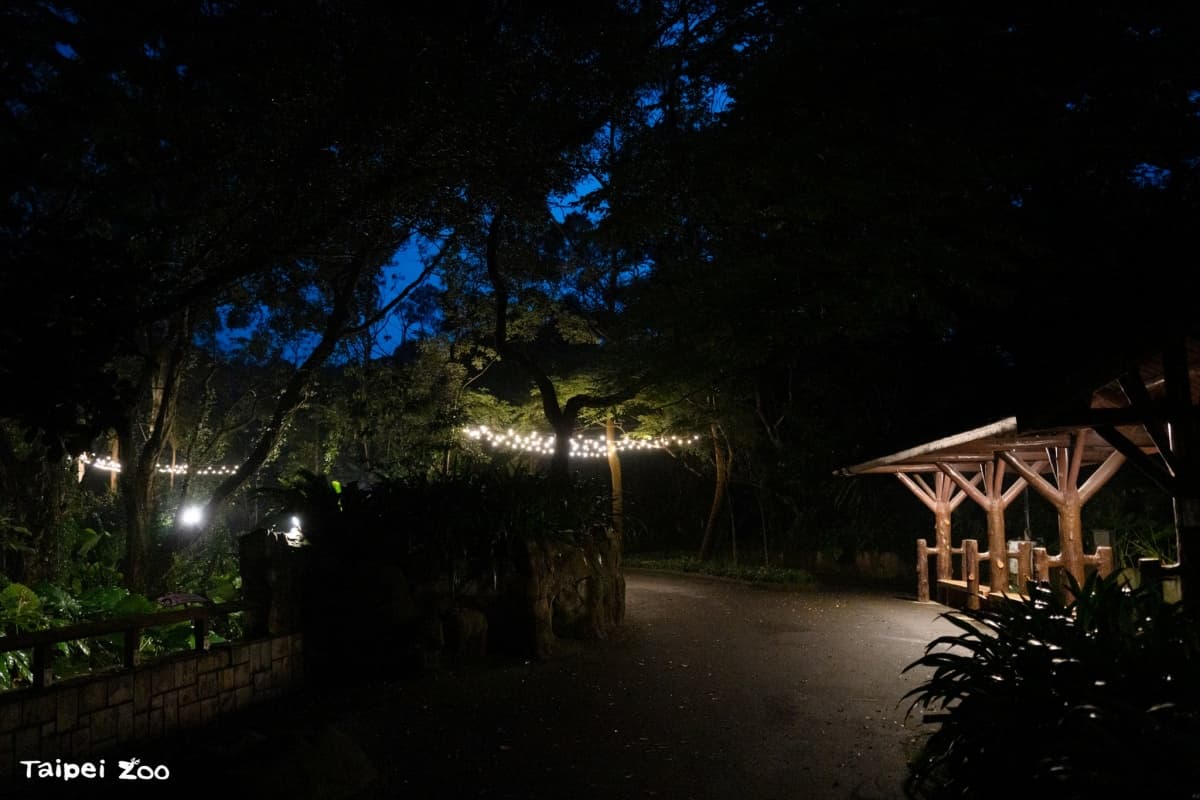 木柵動物園暑假限定「星光票」登場!參觀時間延長到9點,可和動物一起野餐 木柵動物園暑假限定「星光票」登場!參觀時間延長到9點,可和動物一起野餐