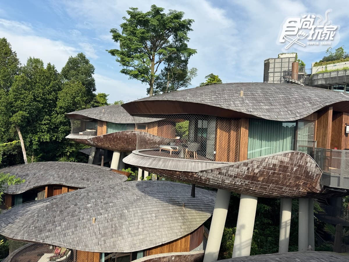 亞洲第1間「野生動物度假村」!8大亮點搶先看:懸浮果莢樹屋、270度雨林美景 亞洲第1間「野生動物度假村」!8大亮點搶先看:懸浮果莢樹屋、270度雨林美景
