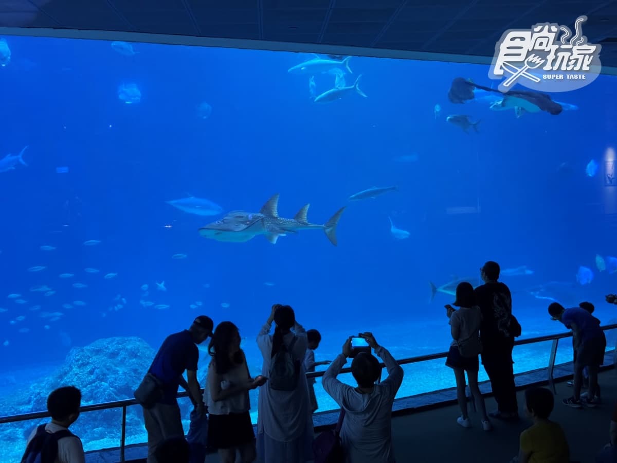 2026「屏東海生館」玩法攻略!地圖/餐廳/夜宿/附近美食景點 2026「屏東海生館」玩法攻略!地圖/餐廳/夜宿/附近美食景點